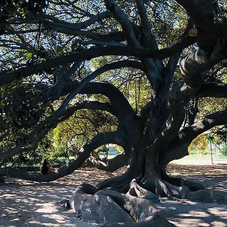 شقة Central! Terrace! Easy Parking! كالياري